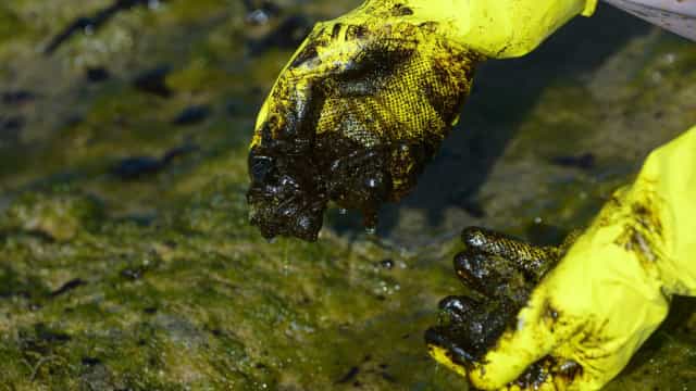 Litoral cearense tem 64 praias com manchas de óleo