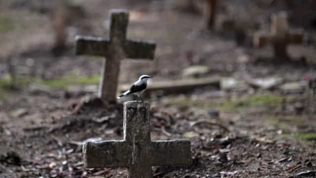 Mortes por Covid-19 no mundo registram maior número diário em quase 9 meses