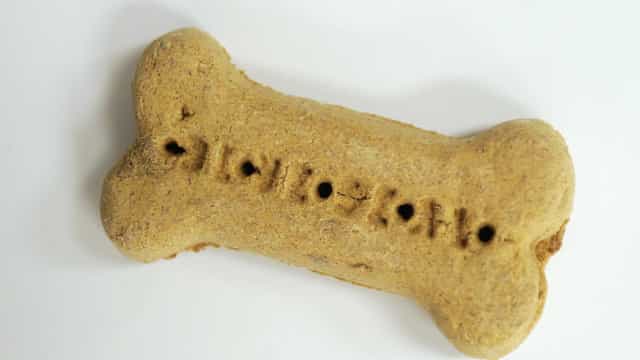 Menina morre após comer biscoito envenenado que era para o cão