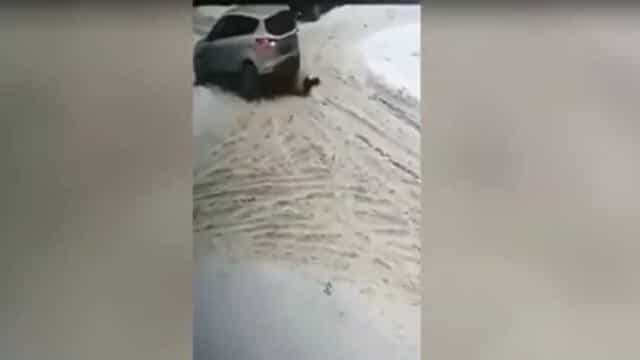 Mulher de 77 anos sobrevive após ser atropelada duas vezes