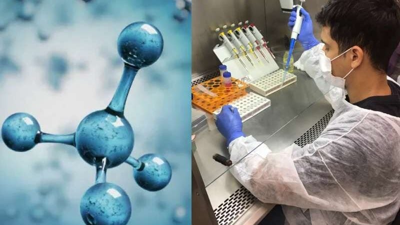 Pesquisadores descobrem molécula de cobre que trata câncer