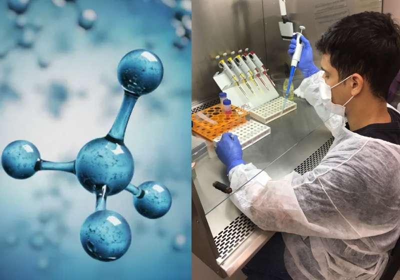 Pesquisadores descobrem molécula de cobre que trata câncer