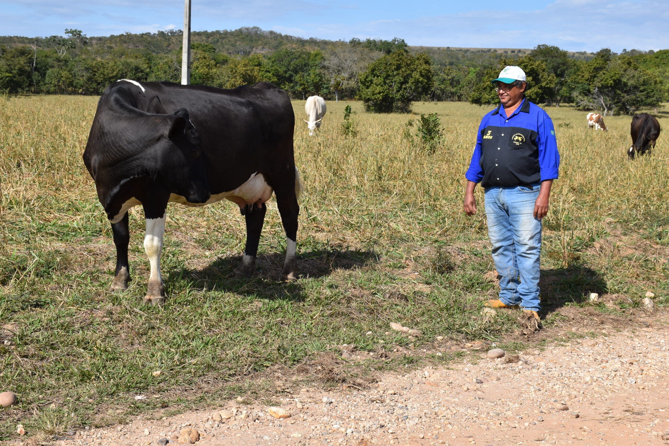 COM A ATEG O PRODUTOR É ASSISTIDO DESDE A PRODUÇÃO ATÉ A COMERCIALIZAÇÃO