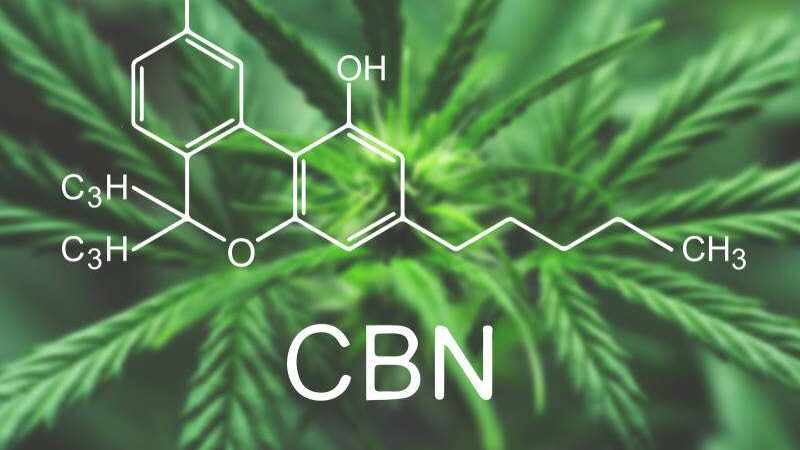 Canabidiol protege neurônios e previne Alzheimer diz novo estudo