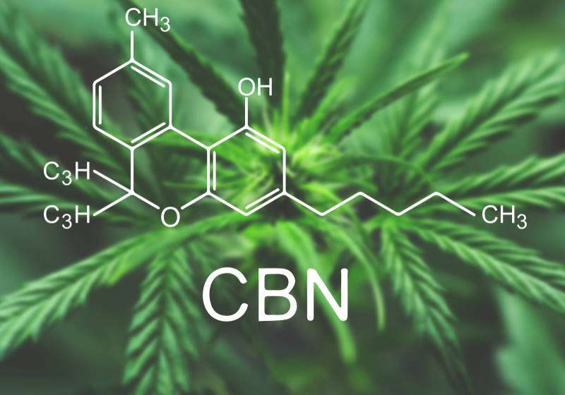 Canabidiol protege neurônios e previne Alzheimer diz novo estudo