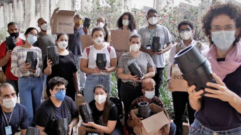 Estudantes da UnB criam inseticida natural contra Aedes Aegypti