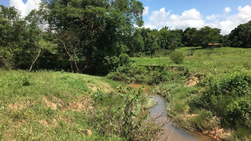 Comitê da Bacia Hidrográfica do Alto Araguaia realiza revitalização de áreas degradadas