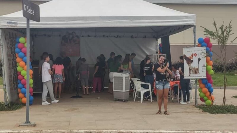 Feira de adoção de animais surpreende e motiva novas doações
