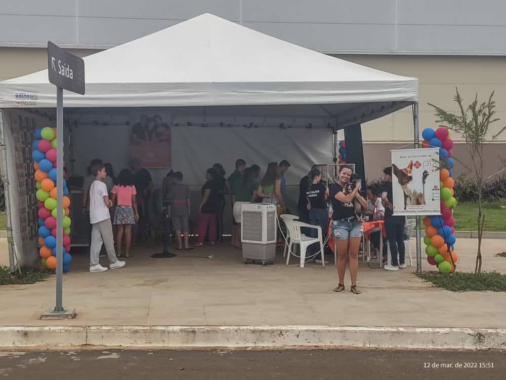 Feira de adoção de animais surpreende e motiva novas doações