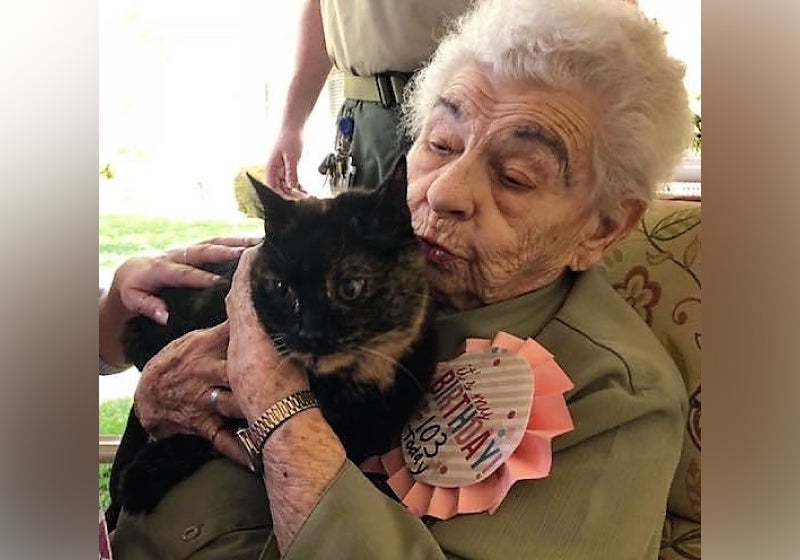 Asilo realiza sonho de vovó de 103 anos e a presenteia com gatinha
