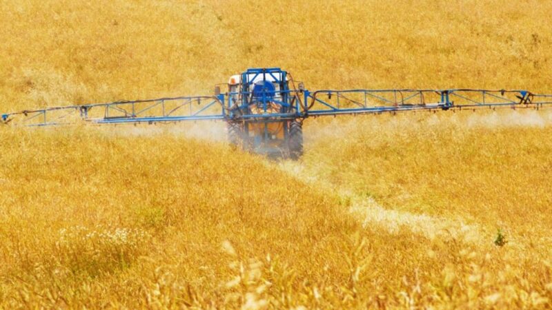 Produtor rural pode acionar recursos jurídicos para “driblar” crise