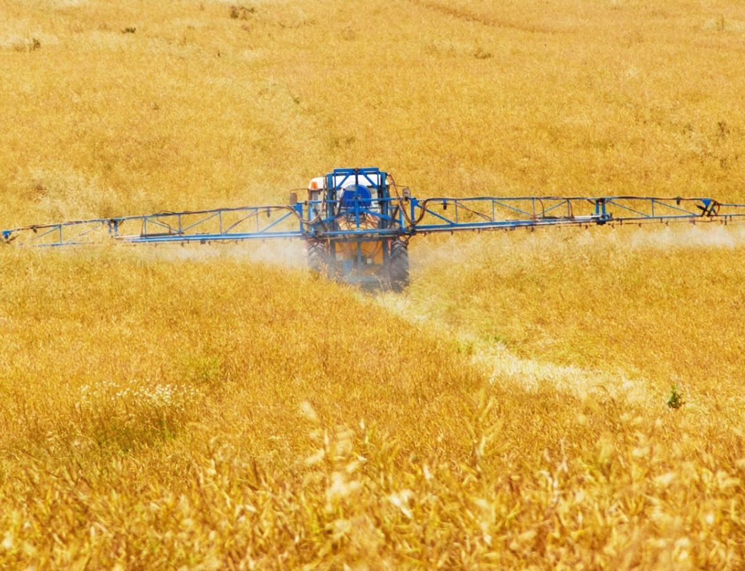 Produtor rural pode acionar recursos jurídicos para “driblar” crise