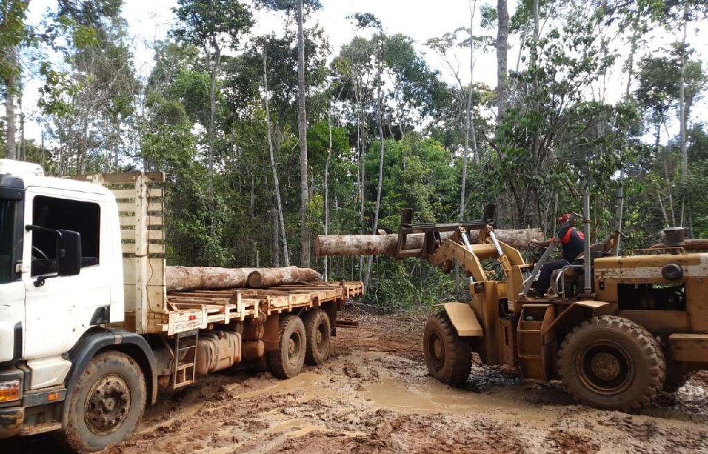 Sema apreende cinco máquinas utilizadas em desmate ilegal em União do Sul
