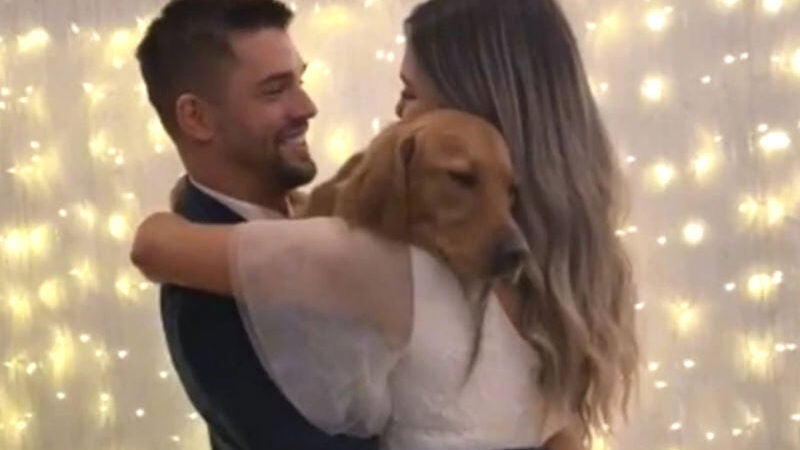 Casal viraliza no Tik Tok dançando valsa de casamento com cão adotivo. [Vídeo]