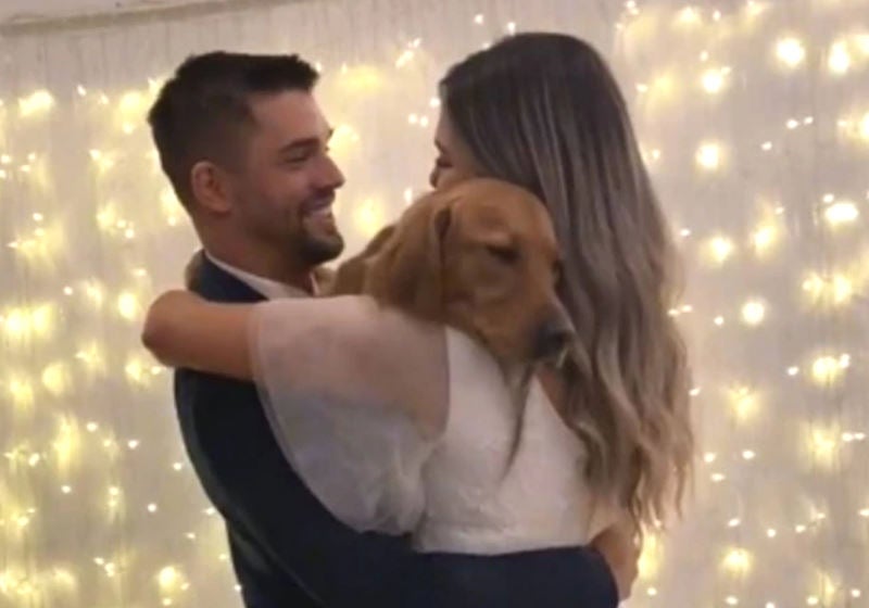 Casal viraliza no Tik Tok dançando valsa de casamento com cão adotivo. [Vídeo]