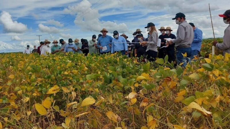 Cenário da ferrugem na safra 2021/22 foi de baixo impacto, mas produtor não pode descuidar