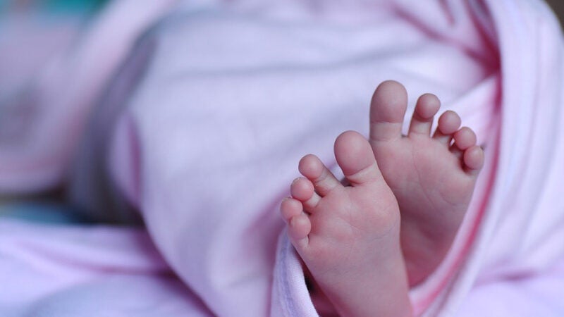 Menino de 8 anos salva irmãos de incêndio provocado pela mãe em SC