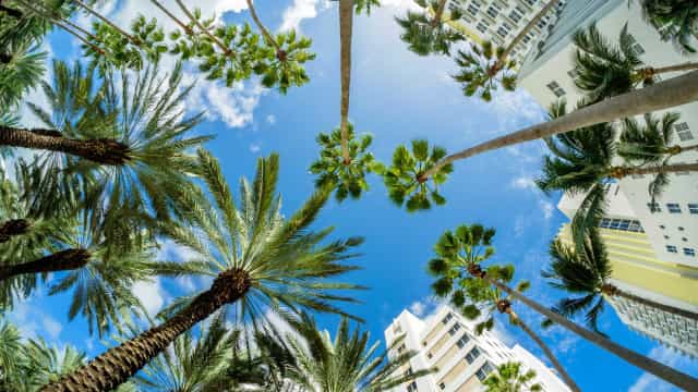 Miami Beach declara toque de recolher após tiroteios no spring break