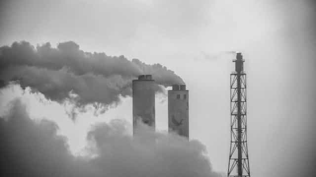 Aquecimento global de 1,5°C pode levar até 14% das espécies à extinção