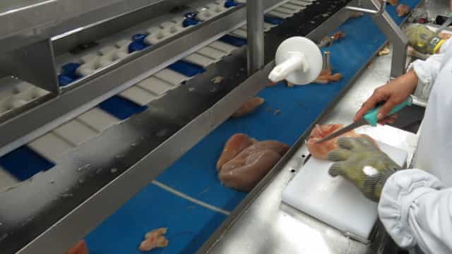 China suspende importação de carne de frango de unidade da BRF em MT