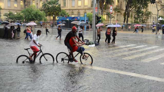 Chuva na cidade de SP causa alagamentos e quedas de árvores