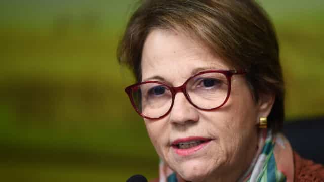 Preço de alimentos deve subir com guerra na Ucrânia, diz Tereza Cristina