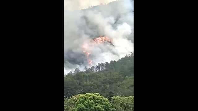 China. As imagens do local onde caiu avião com 132 pessoas a bordo