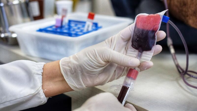 Hemocentro precisa de doadores de sangue para manter atendimento