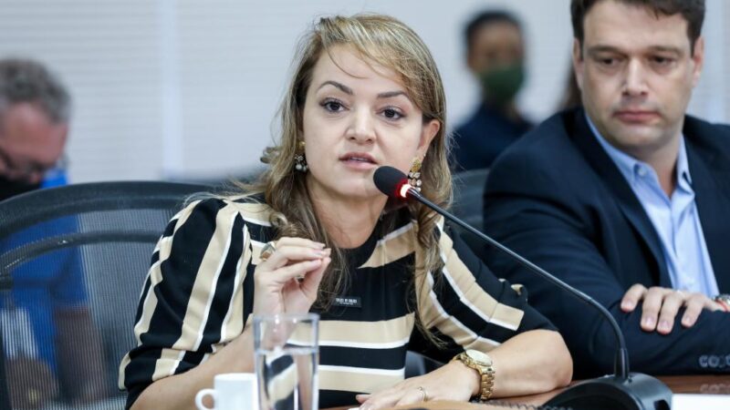 Com investimentos em tecnologia e ações estruturantes, MT está invertendo a curva do desmatamento ilegal, afirma secretária de Meio Ambiente