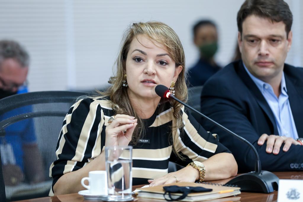 Com investimentos em tecnologia e ações estruturantes, MT está invertendo a curva do desmatamento ilegal, afirma secretária de Meio Ambiente