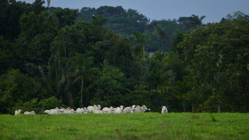 Instrução normativa da Sema-MT orienta produtores quanto ao cadastro ambiental rural