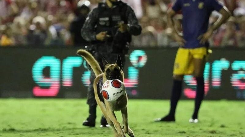 Cão policial invade campo e rouba bola na final do Pernambucano [vídeo]