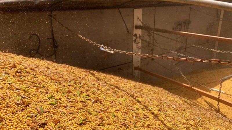 Custo do plantio de soja em Mato Grosso sobe com incertezas de abastecimento devido a guerra