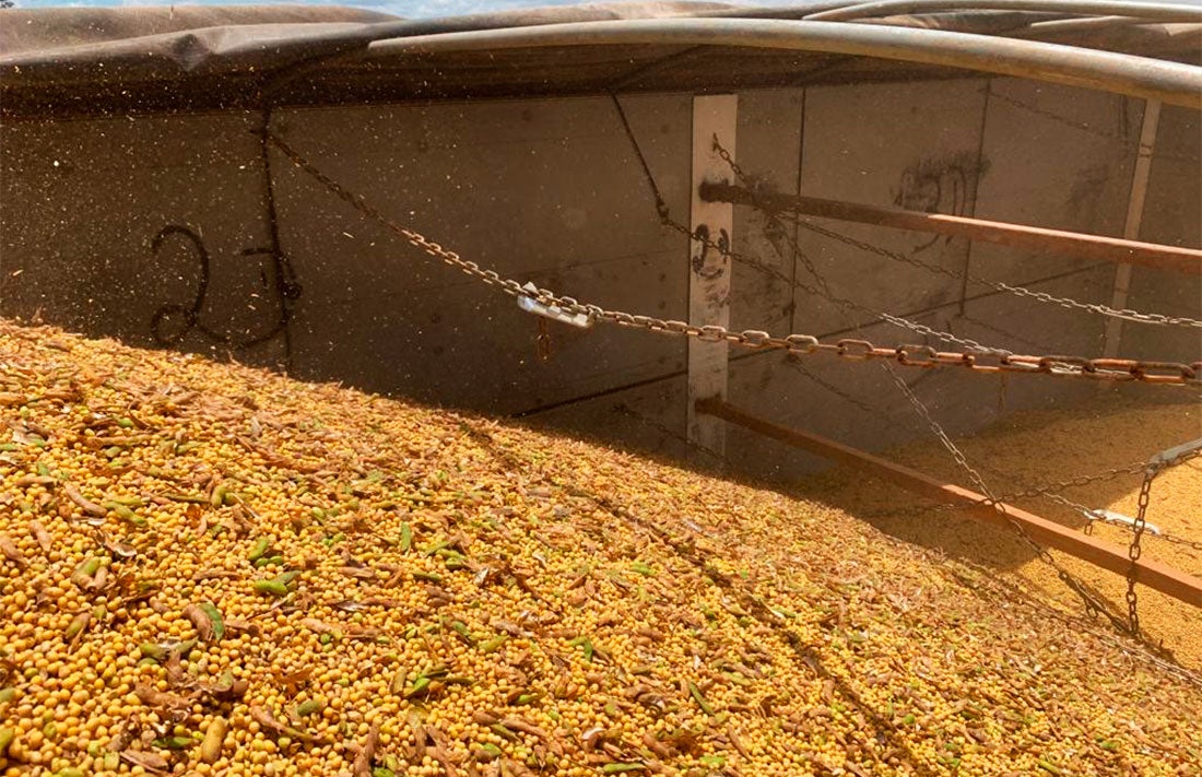 Venda da safra atual de soja em Mato Grosso avança e chega a 67%