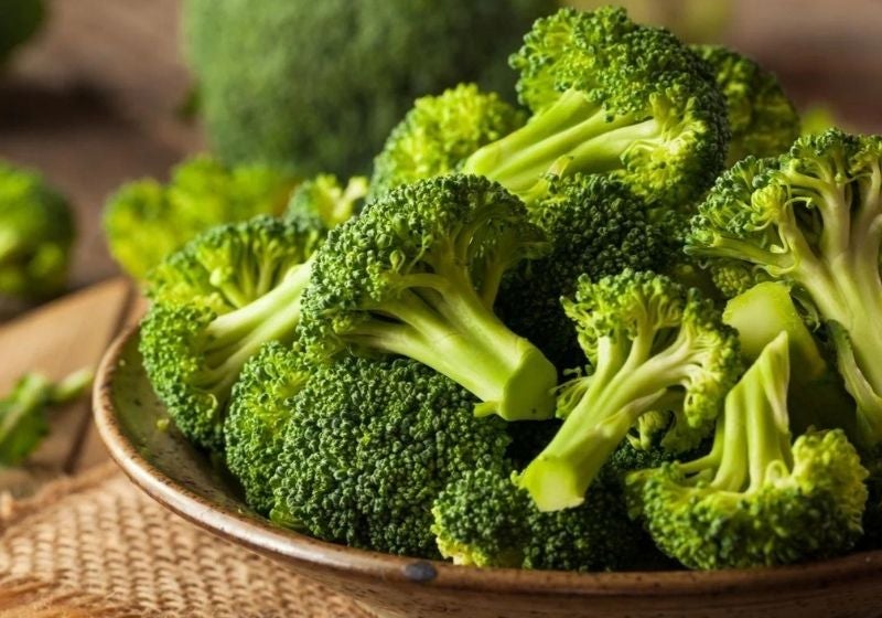 Estudo mostra que Vitamina K em brócolis protege contra demência