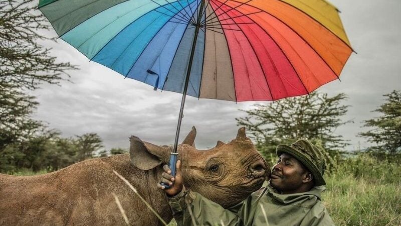 Fotógrafos da National Geographic doam obras para ajudar Ucrânia
