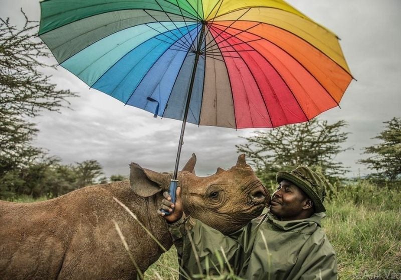Fotógrafos da National Geographic doam obras para ajudar Ucrânia