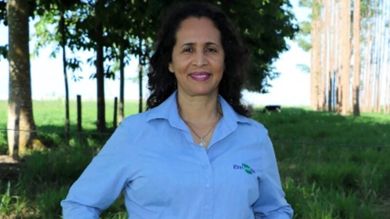 Sinop: nova chefe-geral da Embrapa Agrossilvipastoril será empossada nesta 4ª