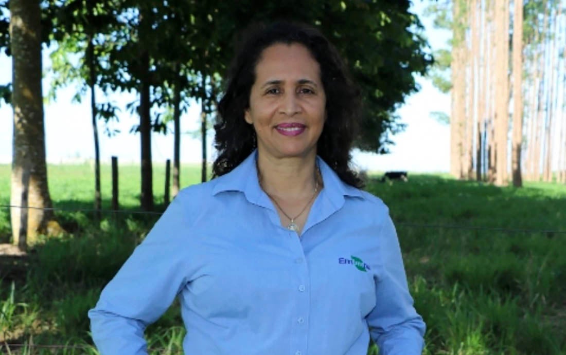 Sinop: nova chefe-geral da Embrapa Agrossilvipastoril será empossada nesta 4ª