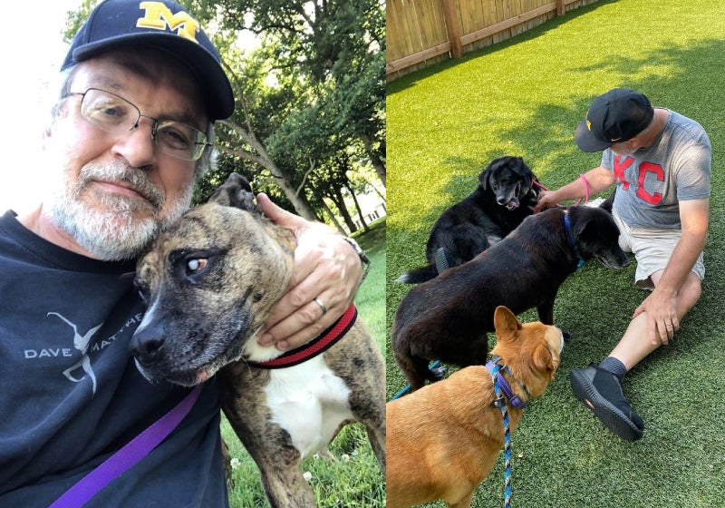 Homem cria abrigo para cães idosos abandonados terem 2ª chance