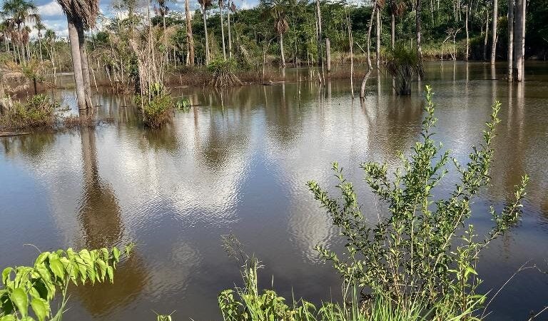 Comitê de Bacia Hidrográfica do Rio Sepotuba monitora Córregos urbanos de Tangará da Serra