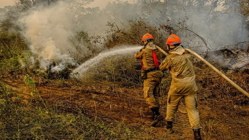 Governo de MT lança plano de combate aos incêndios florestais e desmatamento ilegal para 2022
