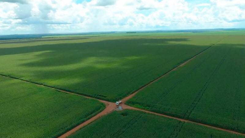 Câmpus da UFMT Sinop define 4ª vitrine tecnológica agrícola em Juara mês que vem