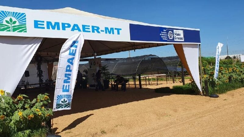 Empaer apresenta na Norte Show em Sinop novas tecnologias e variedades de culturas
