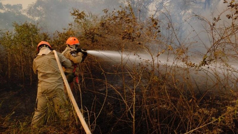 Período proibitivo do uso do fogo em Mato Grosso vai de 1º de julho a 30 de setembro