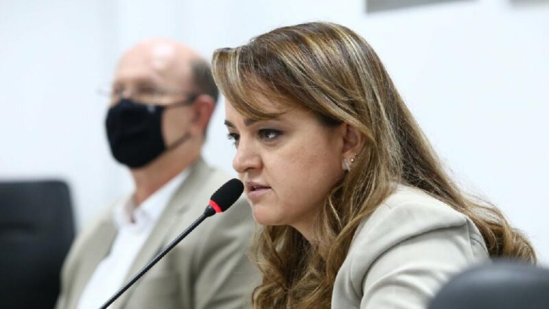 “Separar o que é abertura de área legal do ilegal é estratégico para a efetividade da fiscalização”, afirma secretária de Meio Ambiente