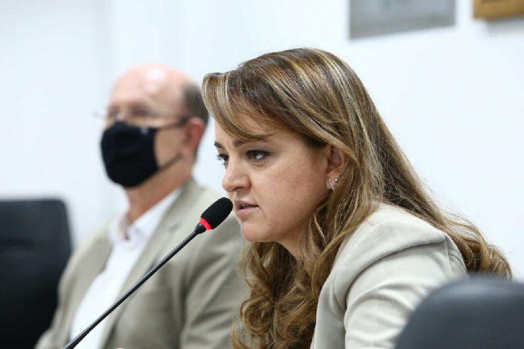 “Separar o que é abertura de área legal do ilegal é estratégico para a efetividade da fiscalização”, afirma secretária de Meio Ambiente