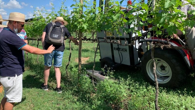 Produtores de erva-mate conhecem potencial da capina elétrica