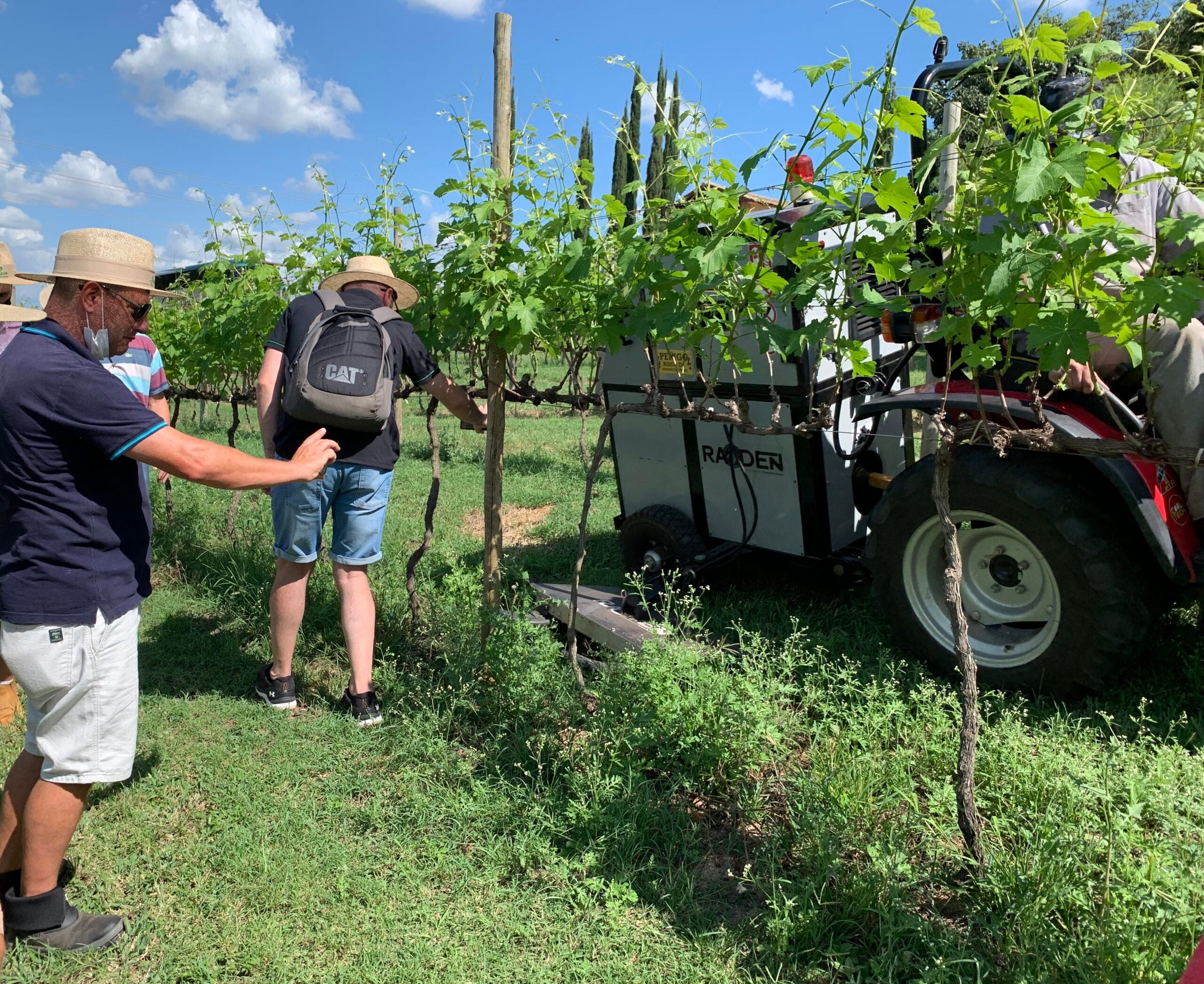 Produtores de erva-mate conhecem potencial da capina elétrica