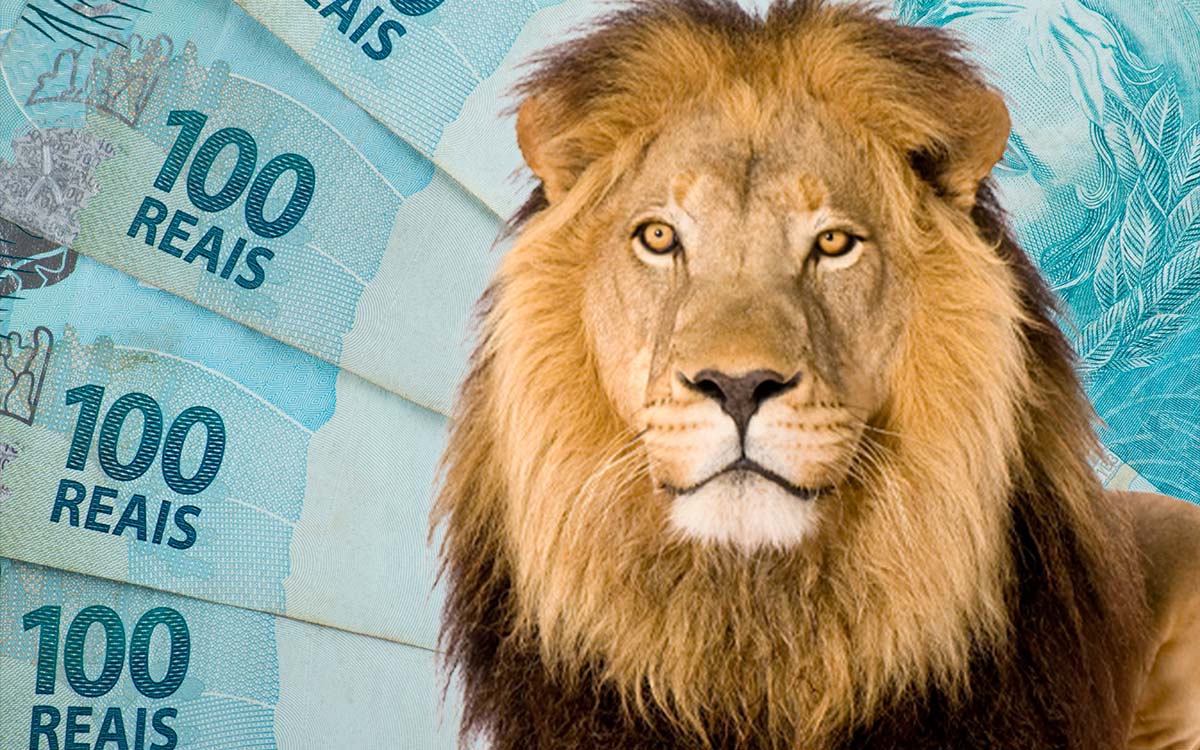 Unic oferece serviço de declaração do Imposto de Renda no sábado (23.04)